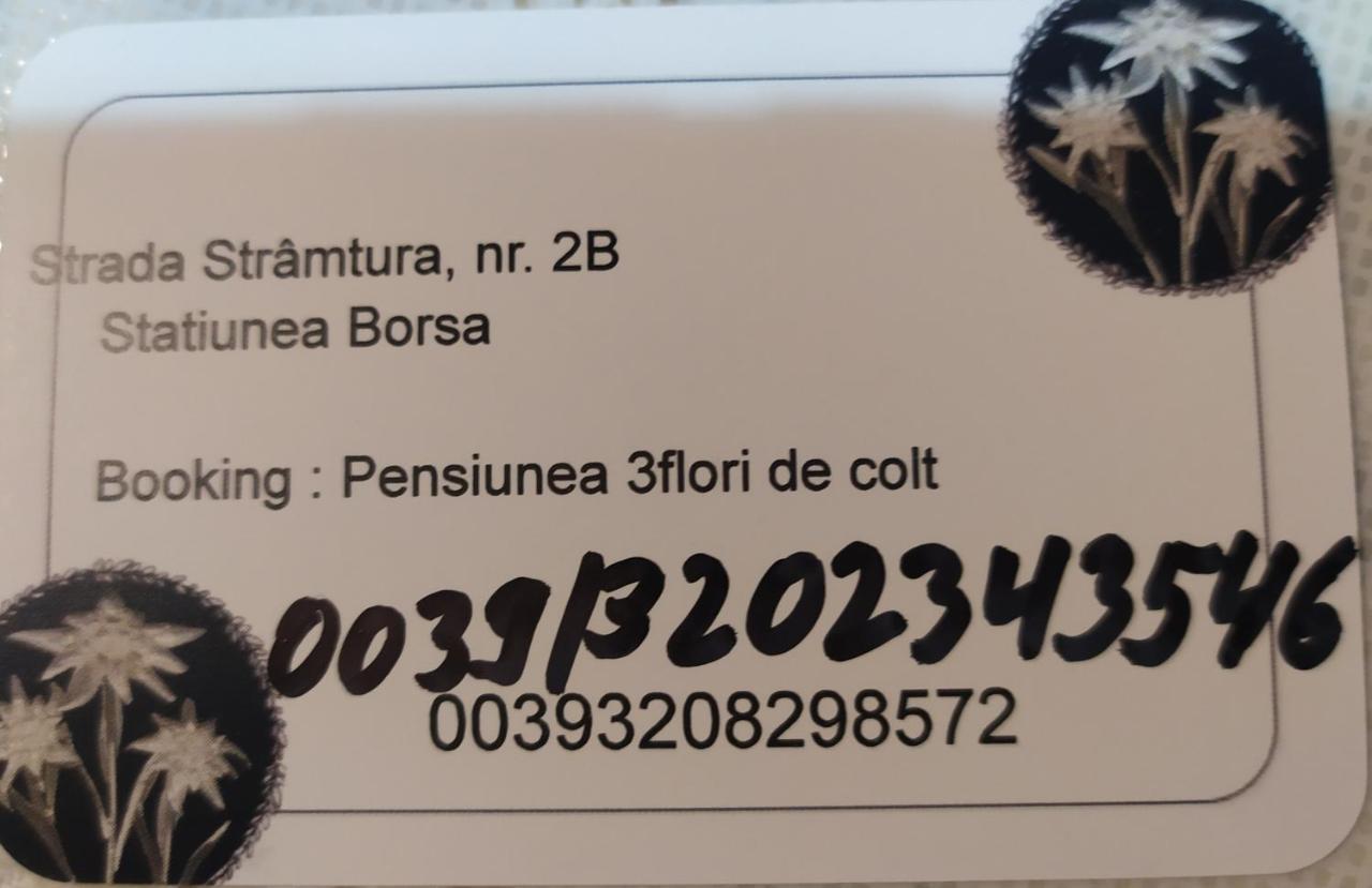 Pensiunea 3Flori De Colt Hotel Statiunea Buitenkant foto